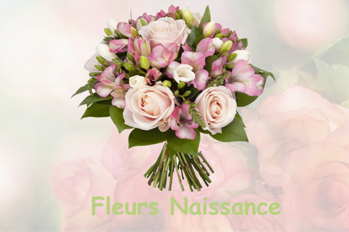 fleurs naissance MONDOUZIL