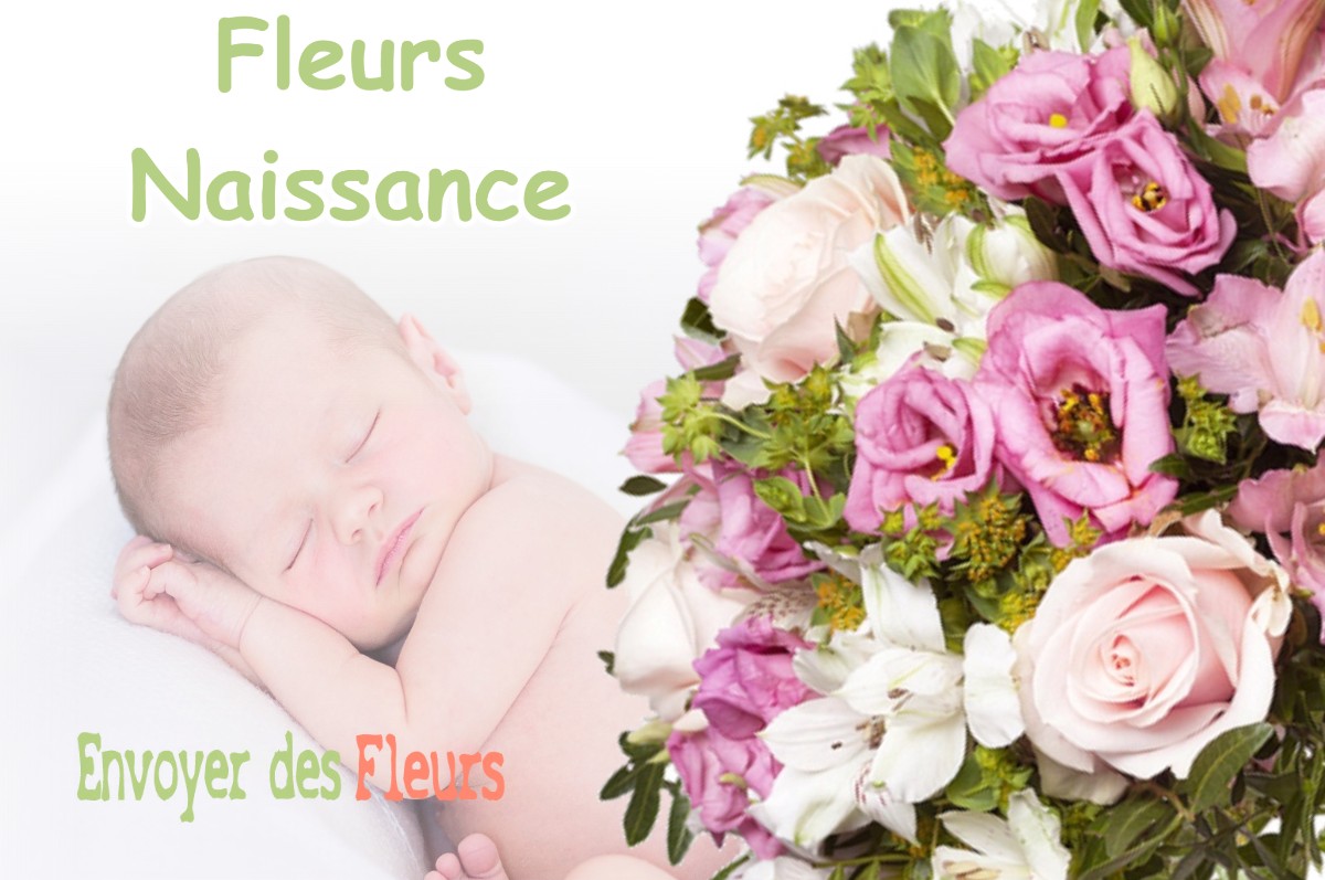 lIVRAISON FLEURS NAISSANCE à MONDOUZIL